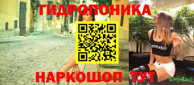 сатива Обь